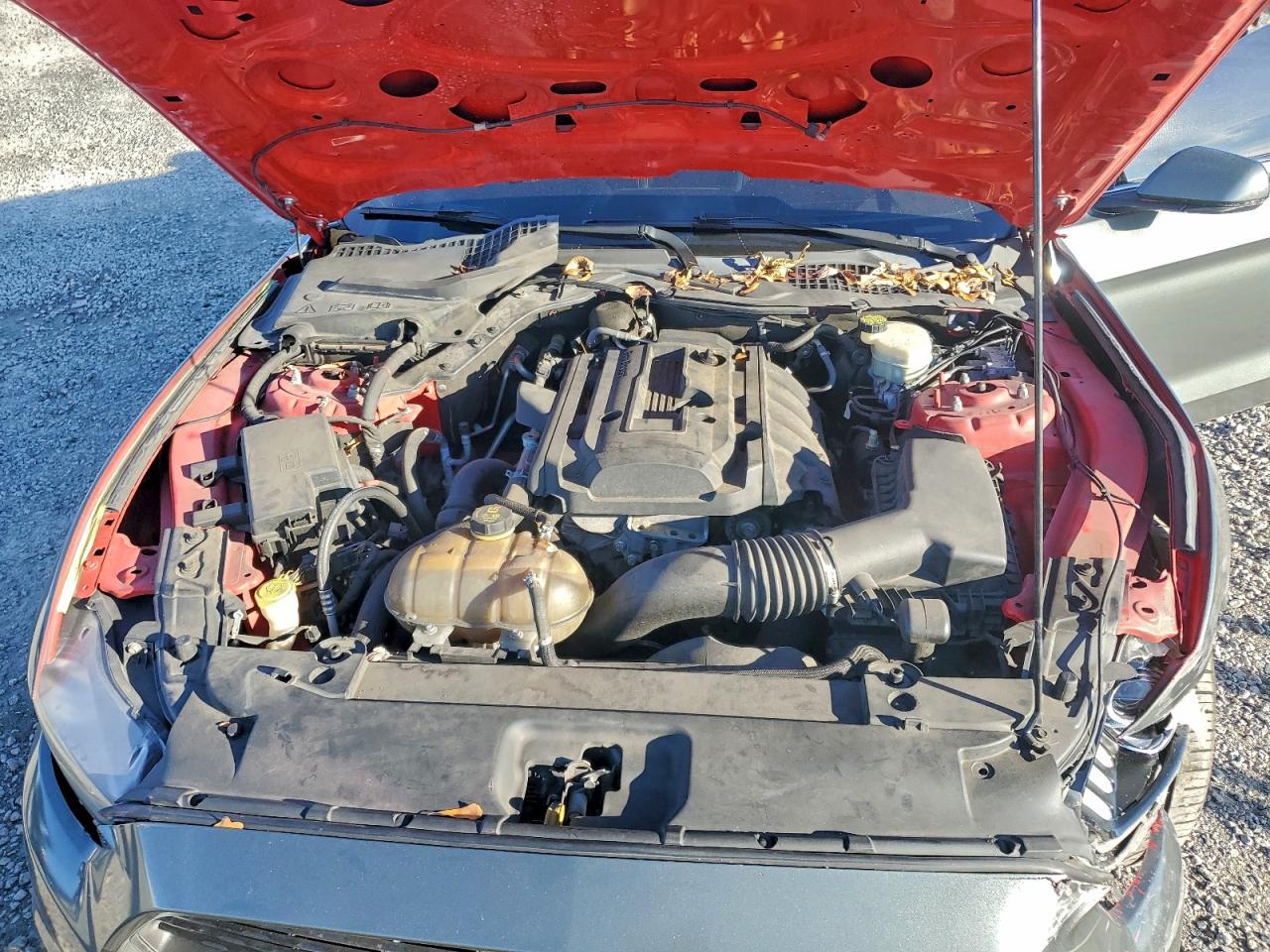 2016 Ford Mustang VIN: 1FA6P8TH6G5300215 Lot: 94268175