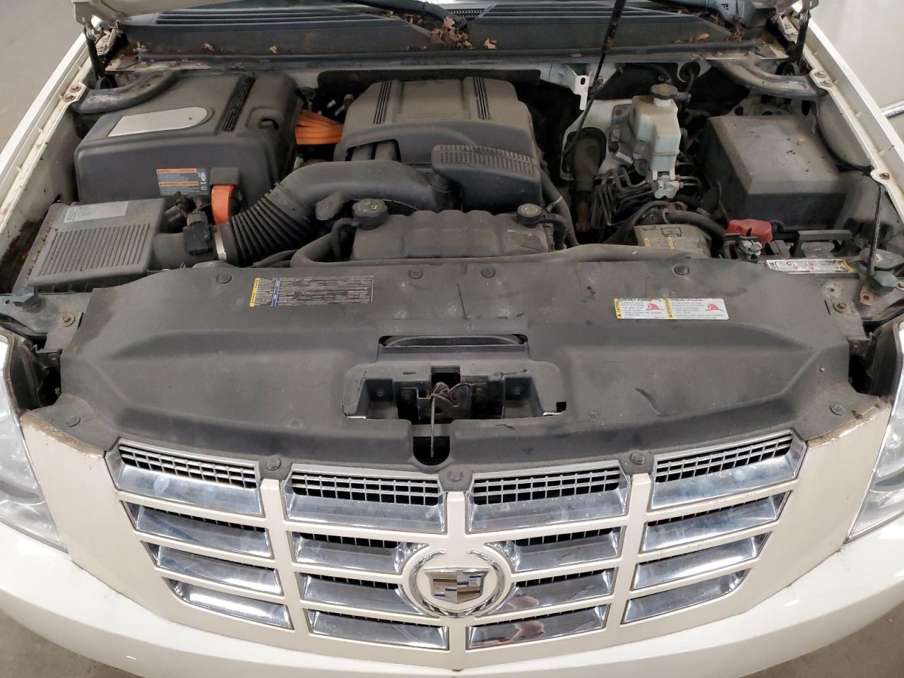 2010 Cadillac Escalade Hybrid VIN: 1GYUKEEJ4AR100023 Lot: 91311885