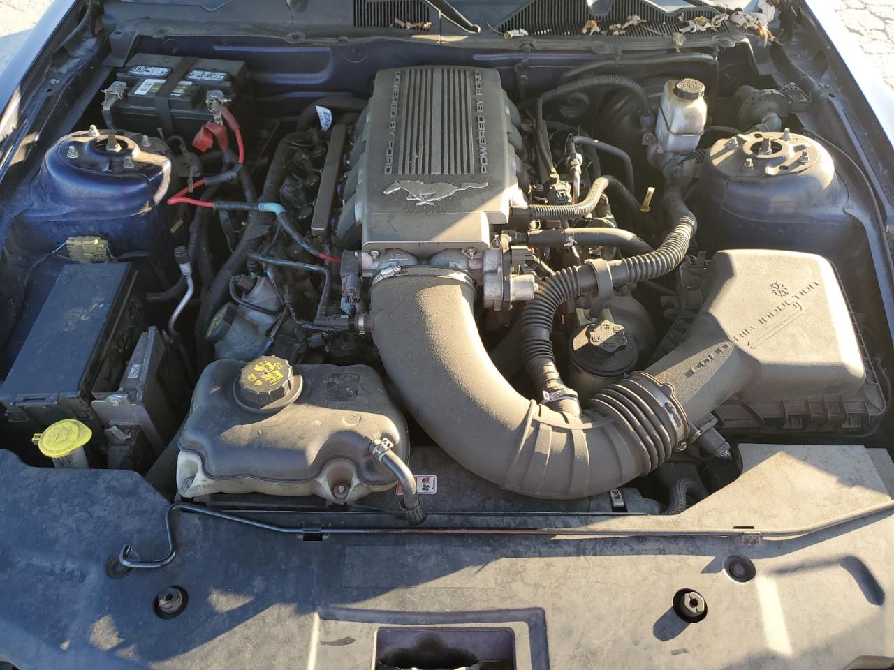 2010 Ford Mustang Gt VIN: 1ZVBP8CH2A5160760 Lot: 92877805