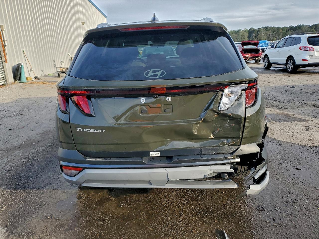 2025 Hyundai Tucson Sel VIN: 5NMJB3DE4SH497384 Lot: 94300045