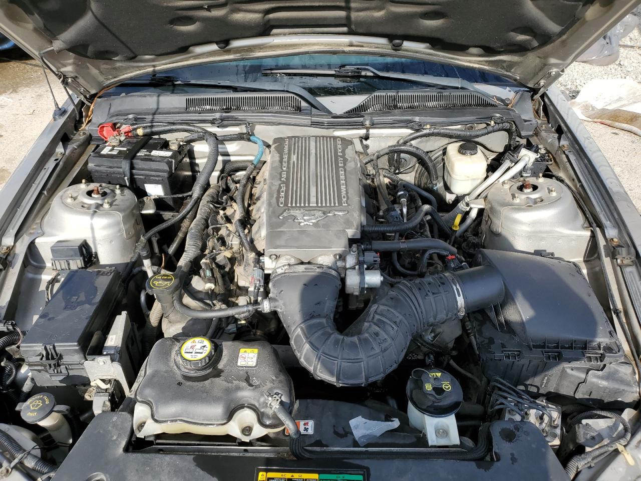 2008 Ford Mustang Gt VIN: 1ZVHT82H985137106 Lot: 92832635