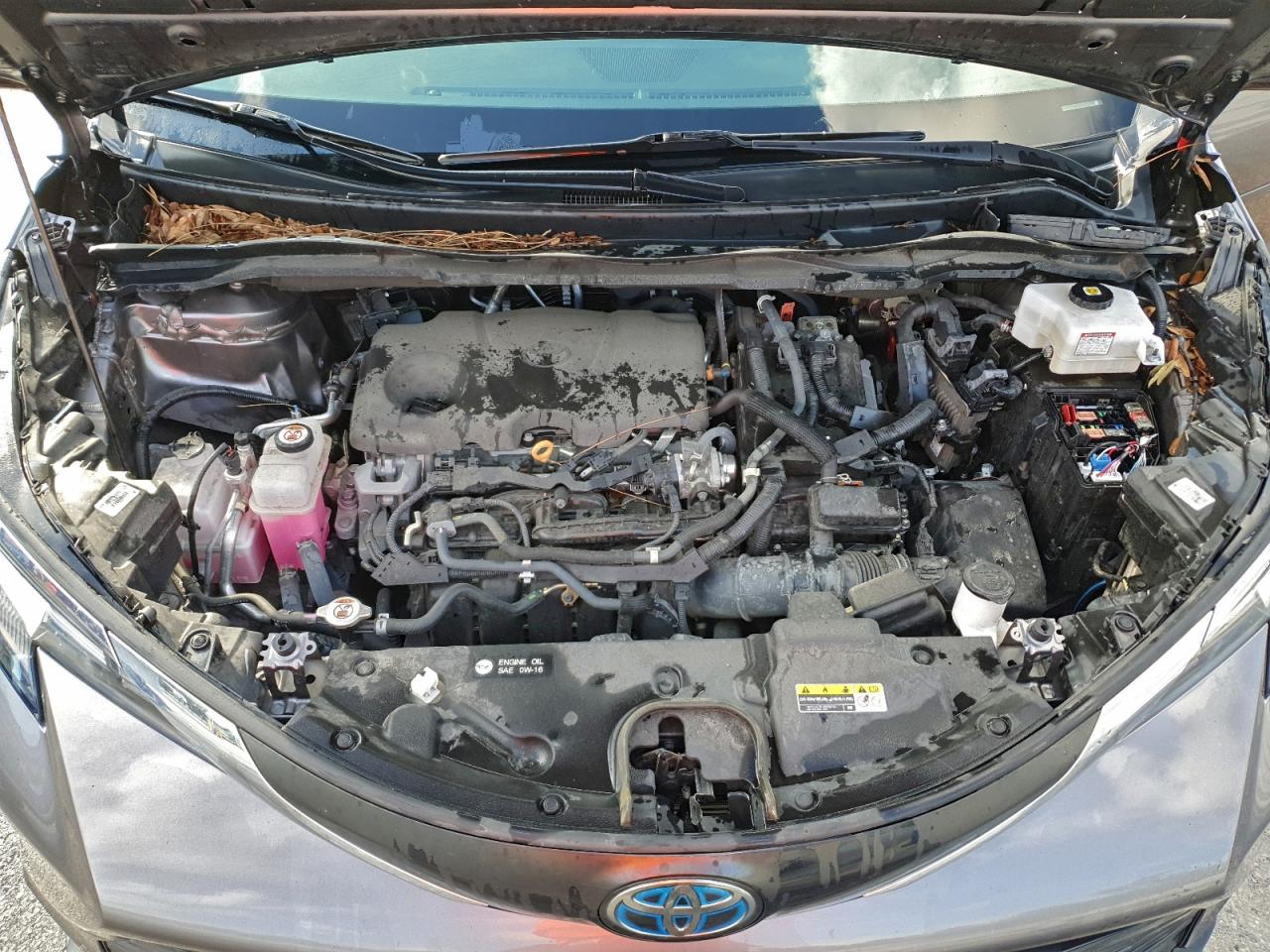 2022 Toyota Sienna Le VIN: 5TDKRKEC1NS089904 Lot: 93428215