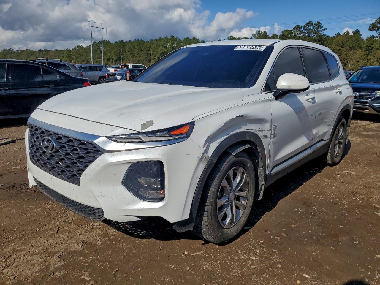 2020 Hyundai Santa Fe Sel VIN: 5NMS3CAD5LH271319 Lot: 93922285