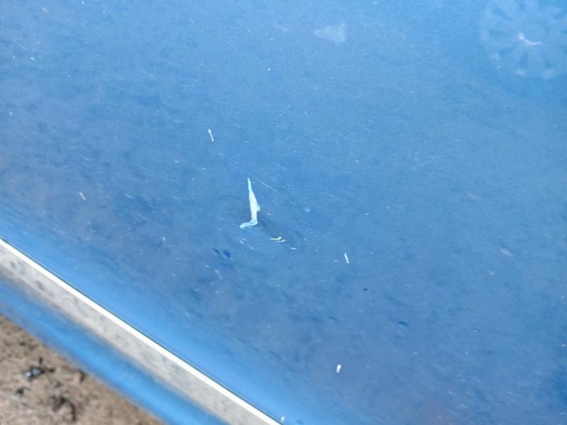 2015 VOLVO XC60 D5 [220] SE LUX NAV 5DR AWD GEARTRONIC