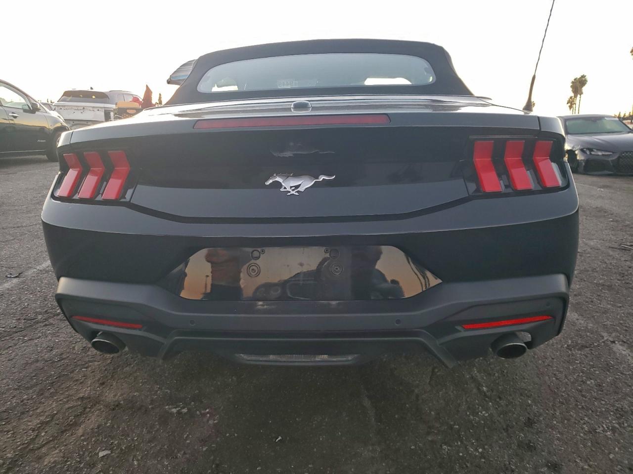 2024 Ford Mustang VIN: 1FAGP8UH1R5113339 Lot: 94495635