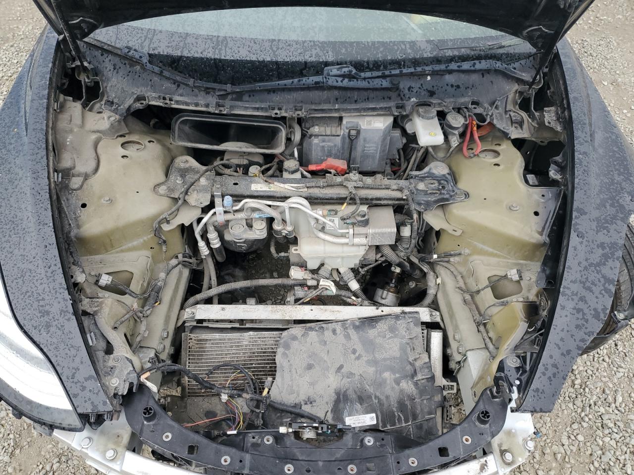 2019 Tesla Model 3 VIN: 5YJ3E1EA4KF315085 Lot: 93146065