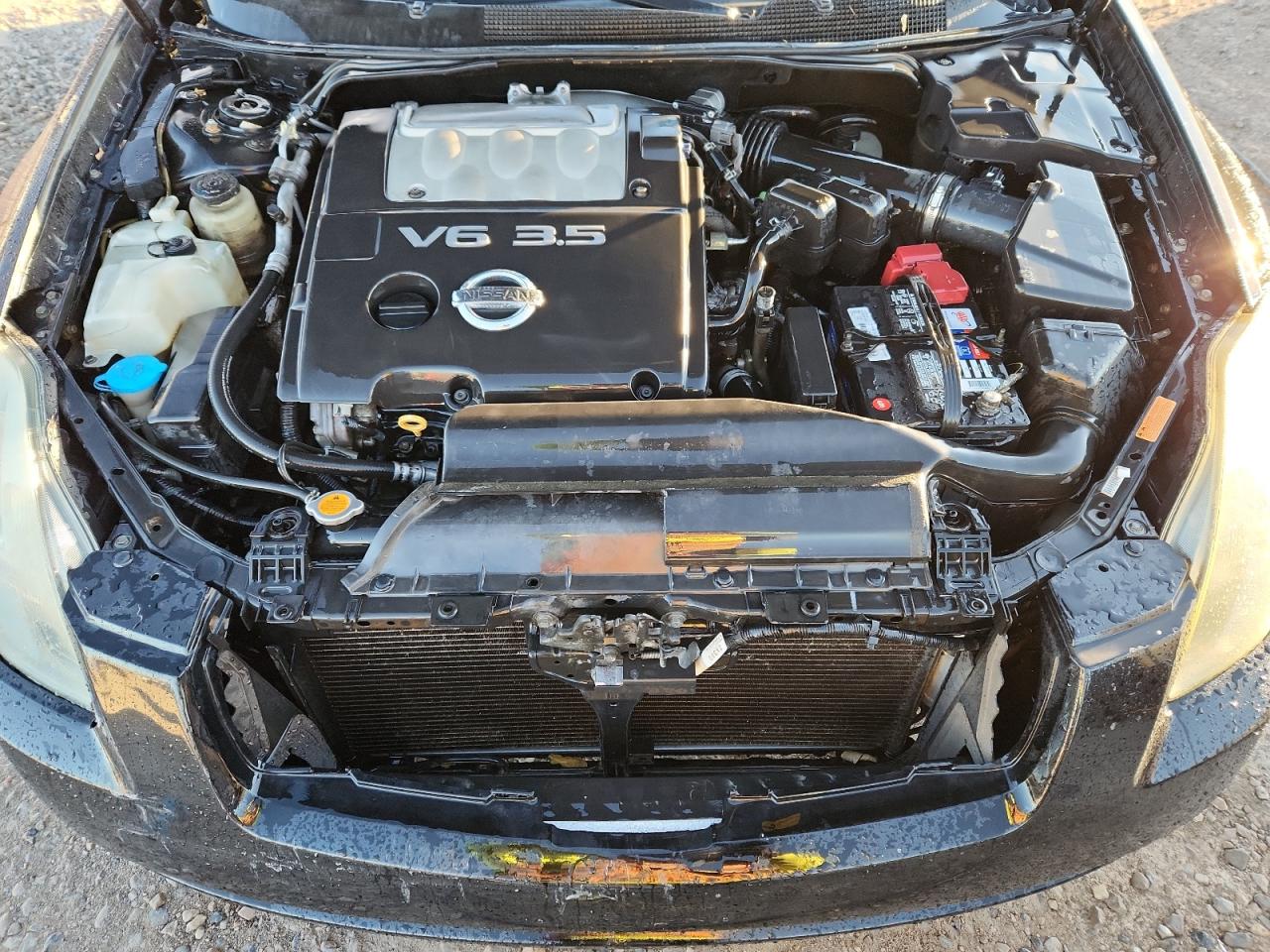 2005 Nissan Maxima Se VIN: 1N4BA41E25C872361 Lot: 91106165