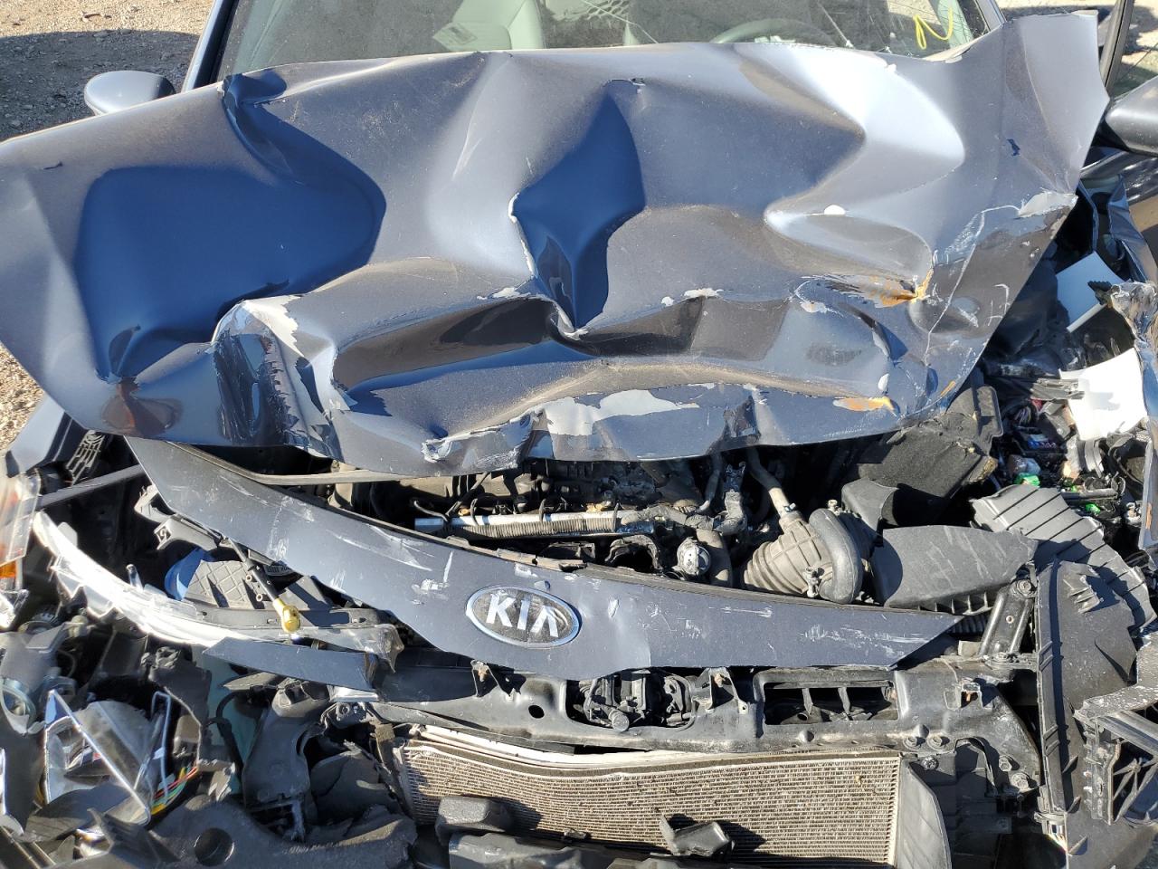 2014 Kia Forte Lx VIN: KNAFX4A67E5078993 Lot: 93025355