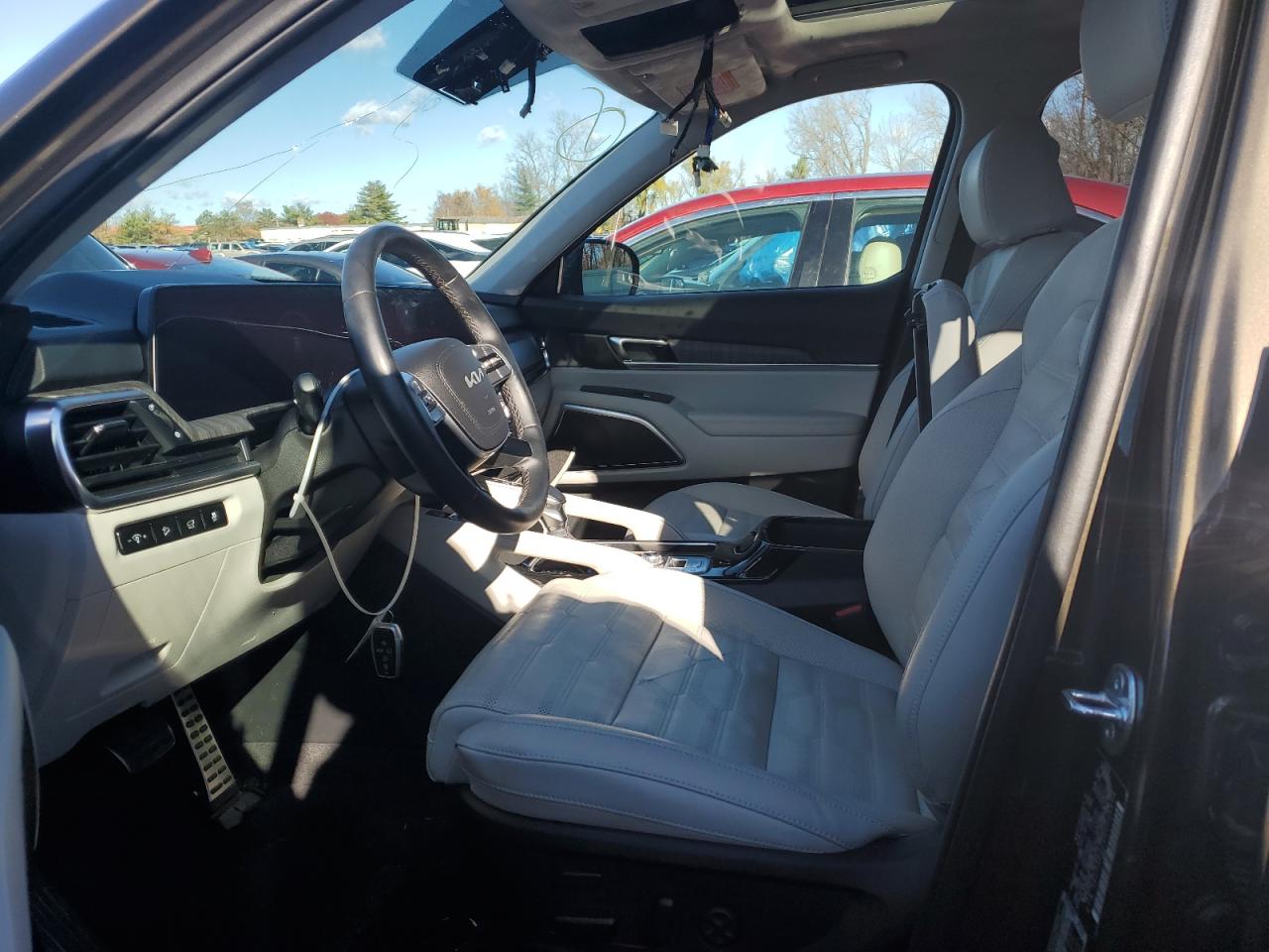 2024 Kia Telluride Sx VIN: 5XYP5DGC0RG556694 Lot: 90318485