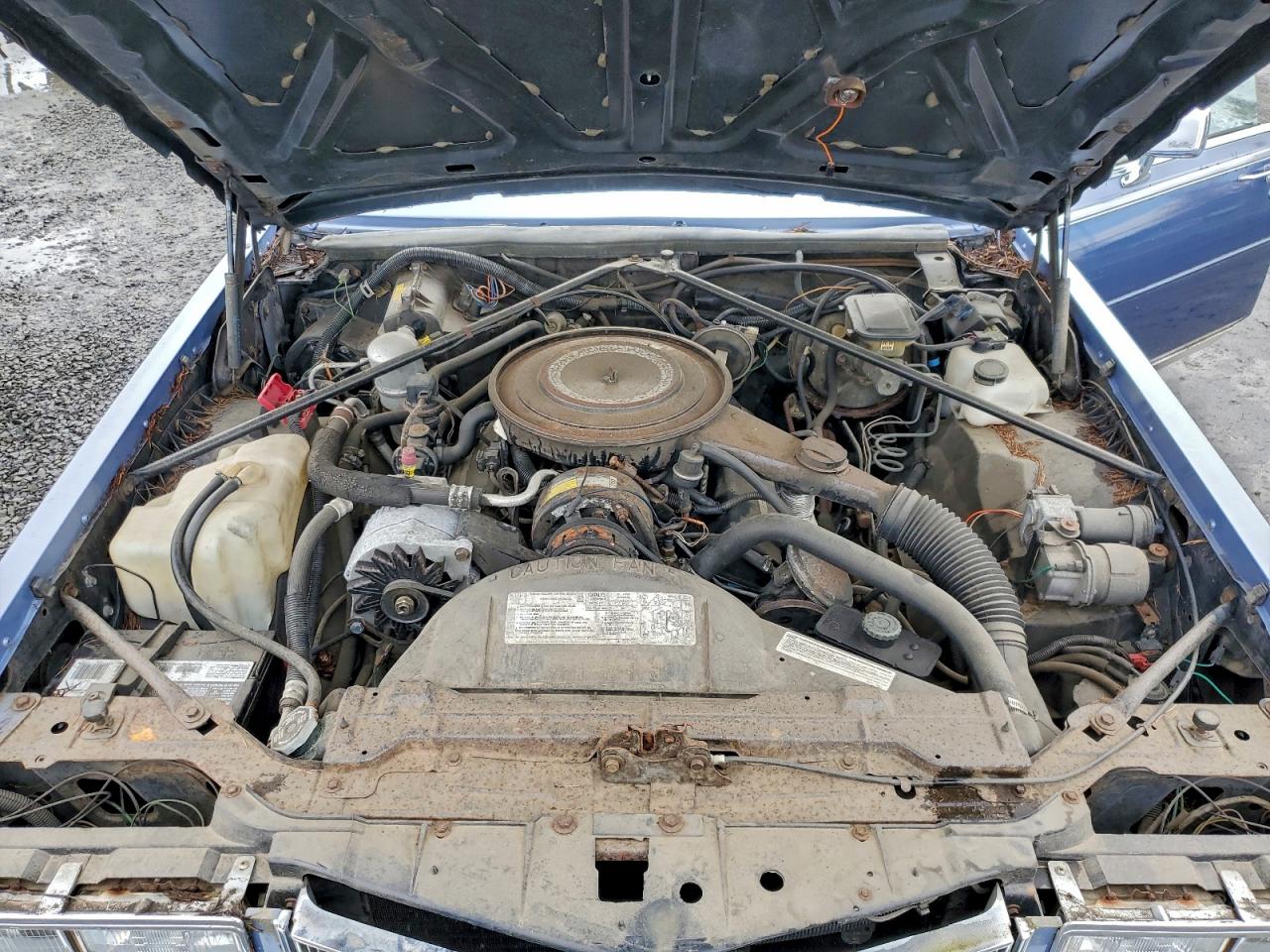 1984 Cadillac Seville VIN: 1G6AS6989EE809567 Lot: 94370185