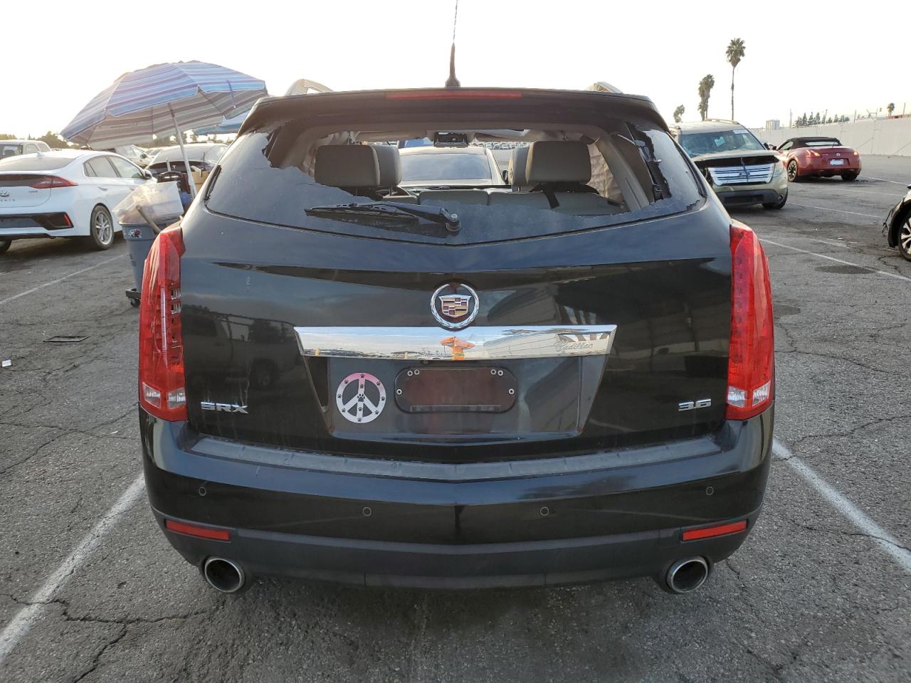 2013 Cadillac Srx Luxury Collection VIN: 3GYFNCE38DS510556 Lot: 92737995