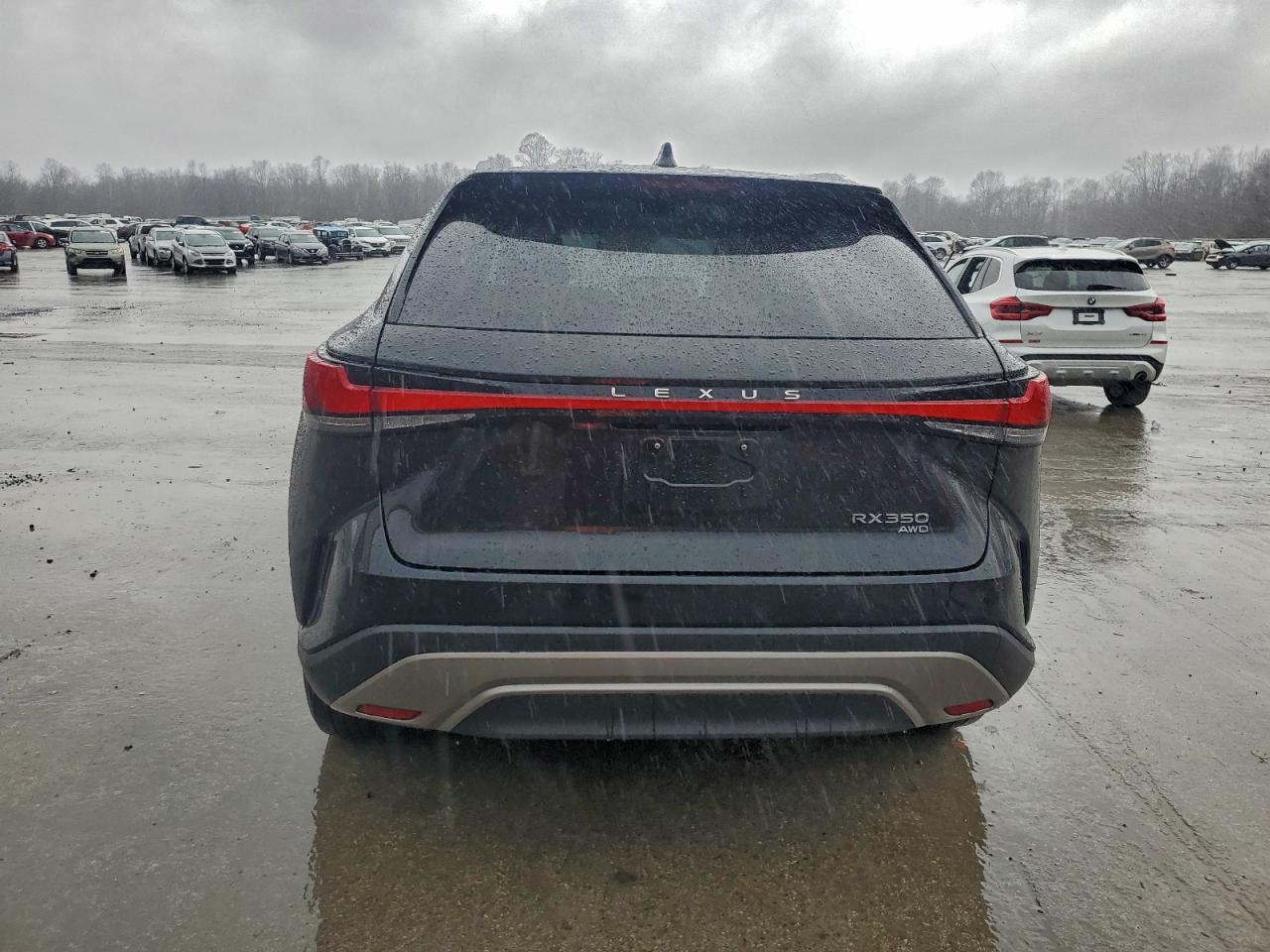 2024 Lexus Rx 350 Base VIN: 2T2BAMCA0RC061011 Lot: 94436755