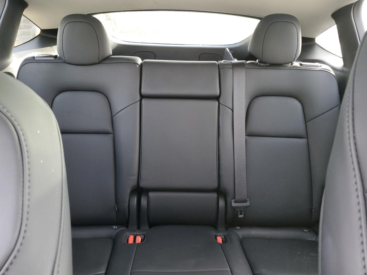 2024 Tesla Model Y VIN: 7SAYGDEDXRF208826 Lot: 92085795