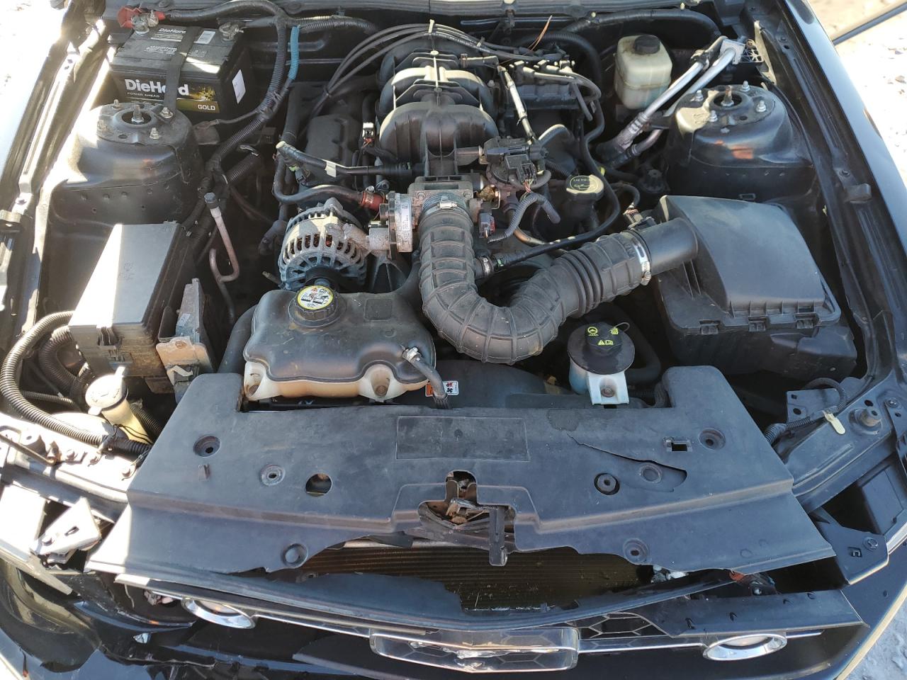 2008 Ford Mustang VIN: 1ZVHT80N085125225 Lot: 92084345