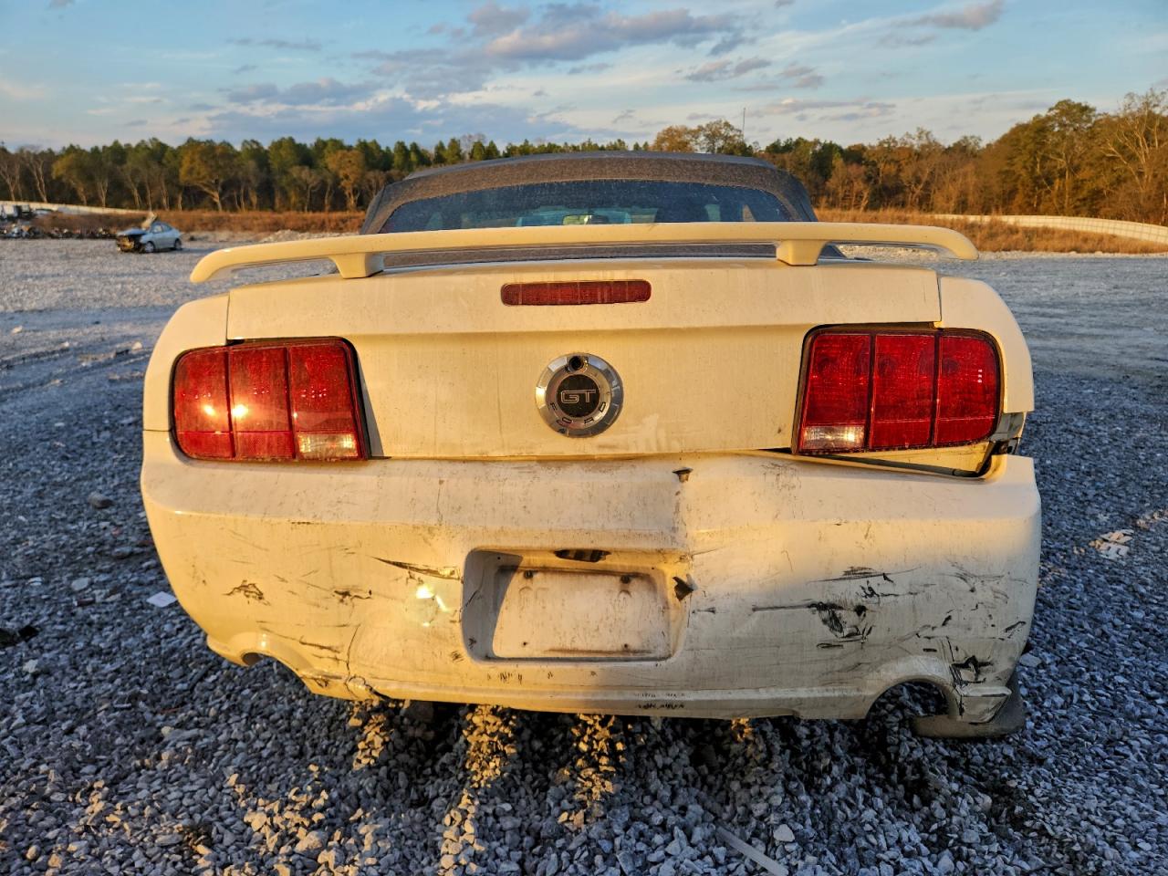 2006 Ford Mustang Gt VIN: 1ZVHT85H565205913 Lot: 94127375