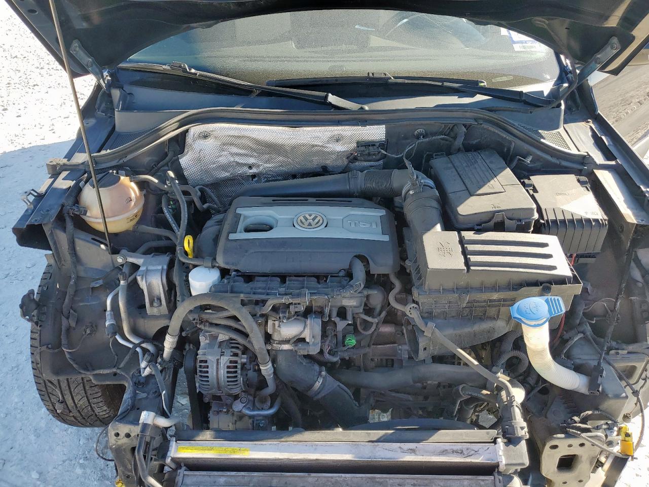 2016 Volkswagen Tiguan S VIN: WVGAV7AX5GW599541 Lot: 91806785