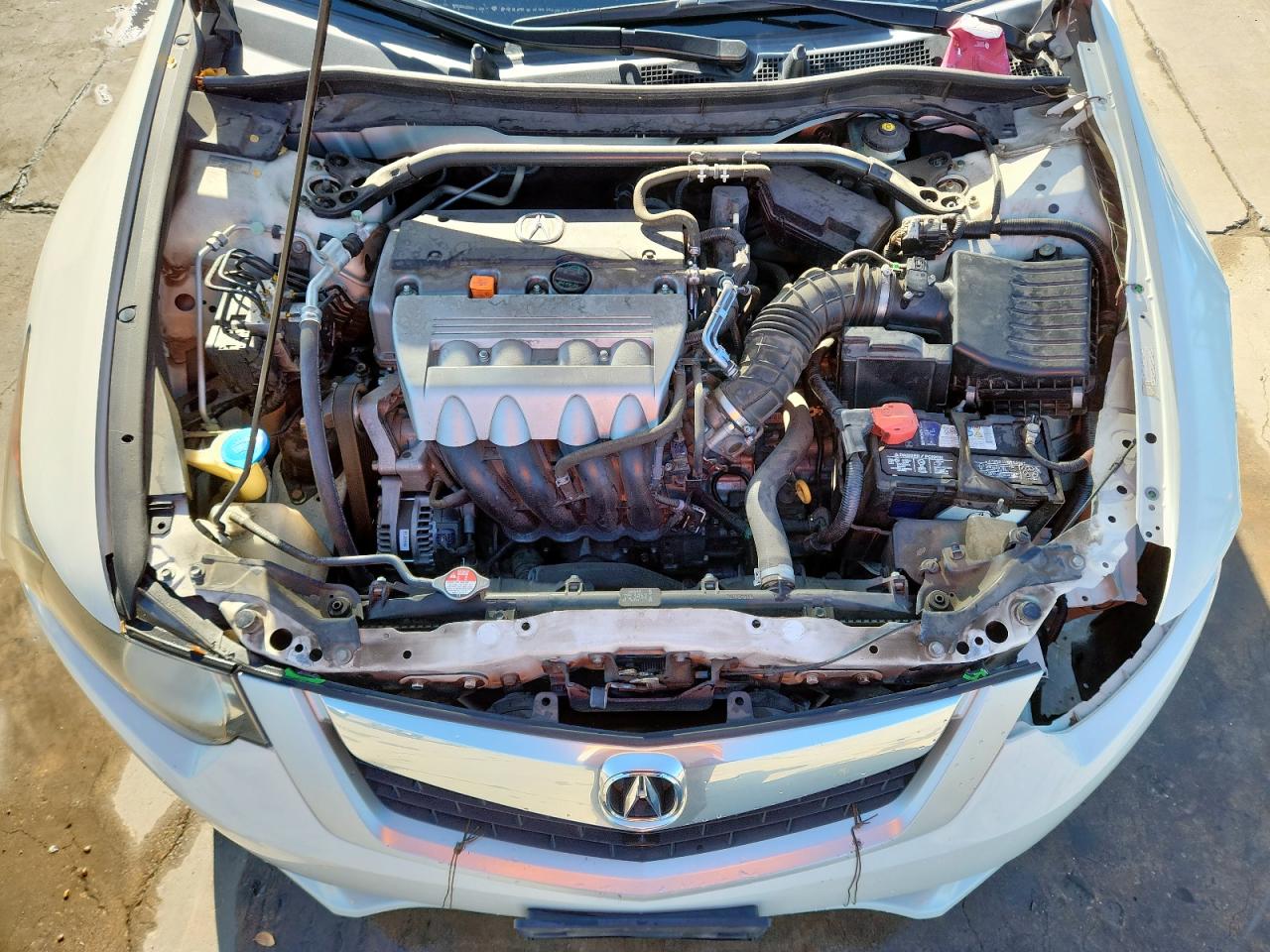 2010 Acura Tsx VIN: JH4CU2F6XAC033532 Lot: 92414555