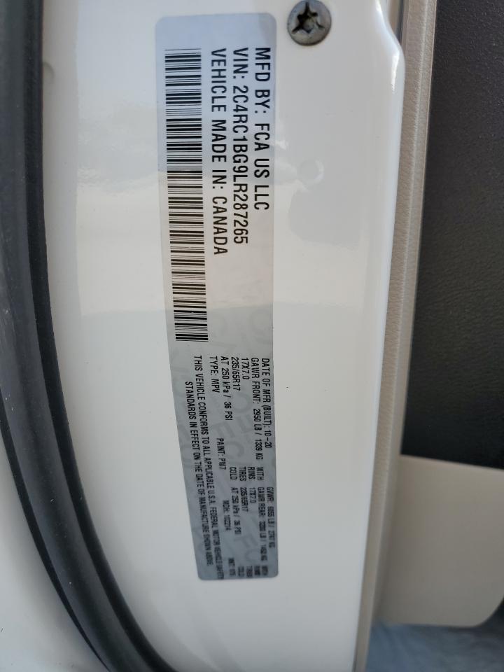 2020 Chrysler Pacifica Touring L VIN: 2C4RC1BG9LR287265 Lot: 91876145