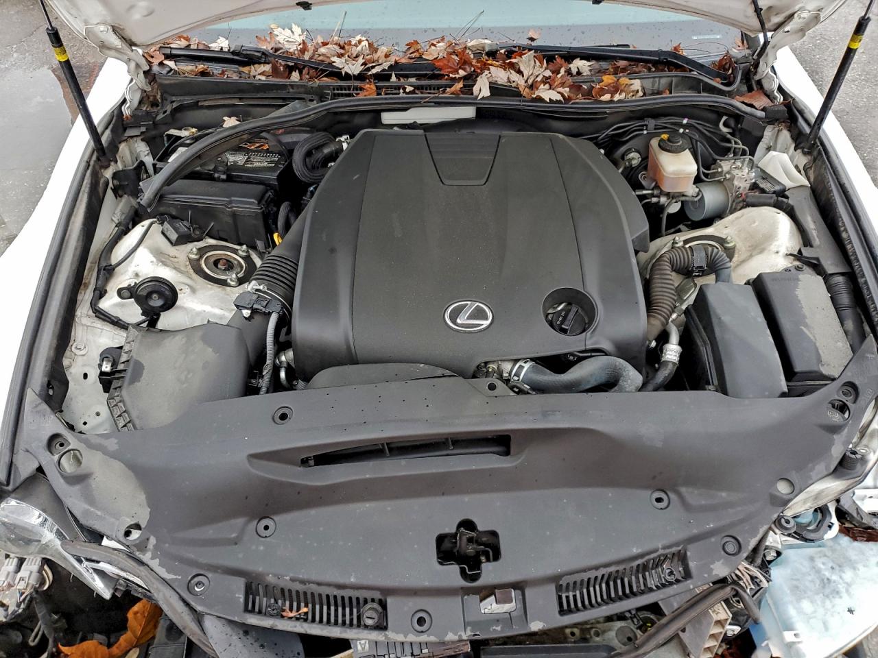 2015 Lexus Is 250 VIN: JTHCF1D29F5023770 Lot: 93277295