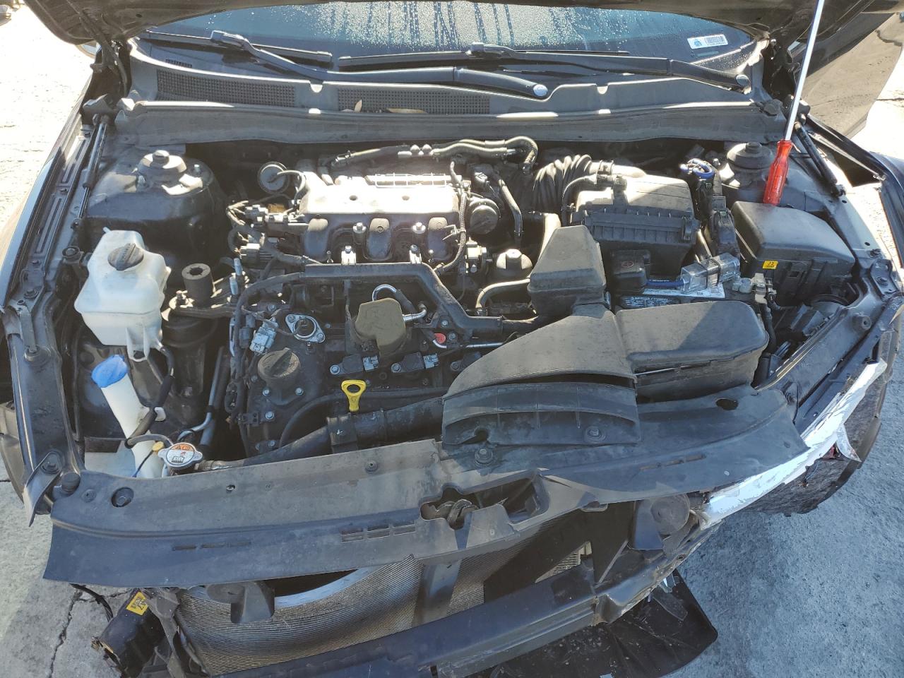 2014 Kia Cadenza Premium VIN: KNALN4D72E5137980 Lot: 93593065