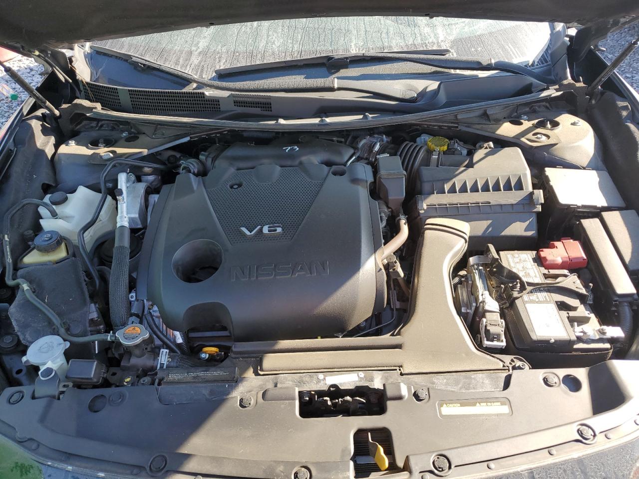 2023 Nissan Maxima Sr VIN: 1N4AA6EV7PC511969 Lot: 90788165