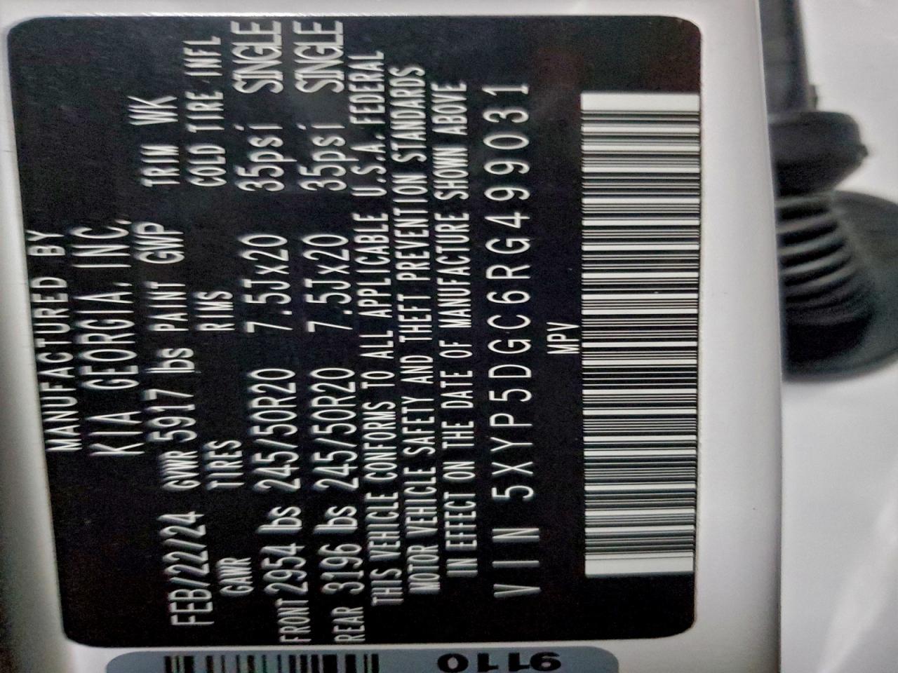 2024 Kia Telluride Sx VIN: 5XYP5DGC6RG499031 Lot: 95015195