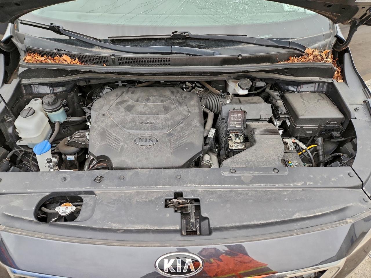 2019 Kia Sedona Lx VIN: KNDMB5C11K6559375 Lot: 94250465