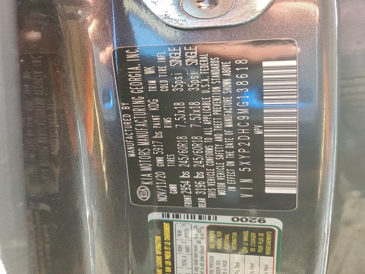 2021 Kia Telluride Lx VIN: 5XYP2DHC9MG138618 Lot: 93082205