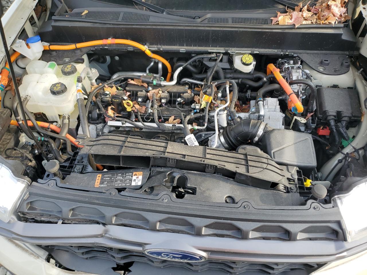 2024 Ford Maverick Xlt VIN: 3FTTW8H38RRB15130 Lot: 92076185