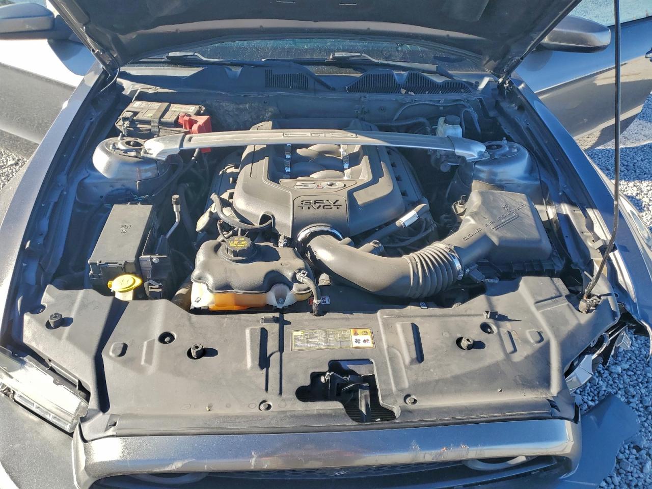 2014 Ford Mustang Gt VIN: 1ZVBP8CF9E5209943 Lot: 94131265