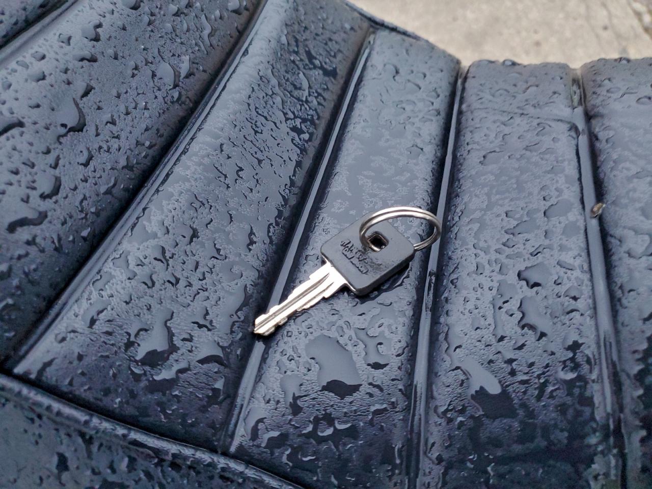 2021 Harley-Davidson Xl883 N VIN: 1HD4LE211MB408589 Lot: 94306435