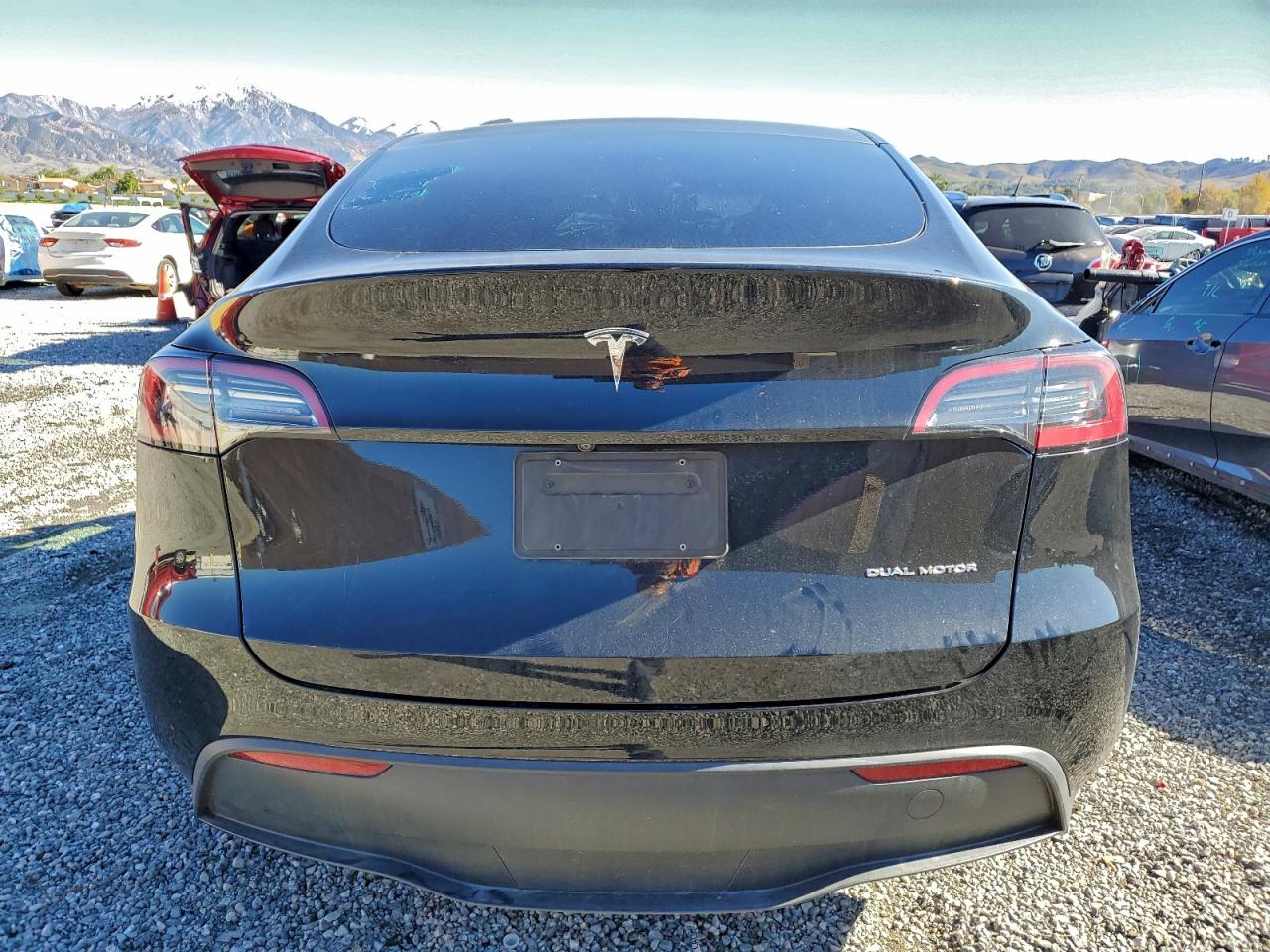 2023 Tesla Model Y VIN: 7SAYGAEE7PF621825 Lot: 92108145