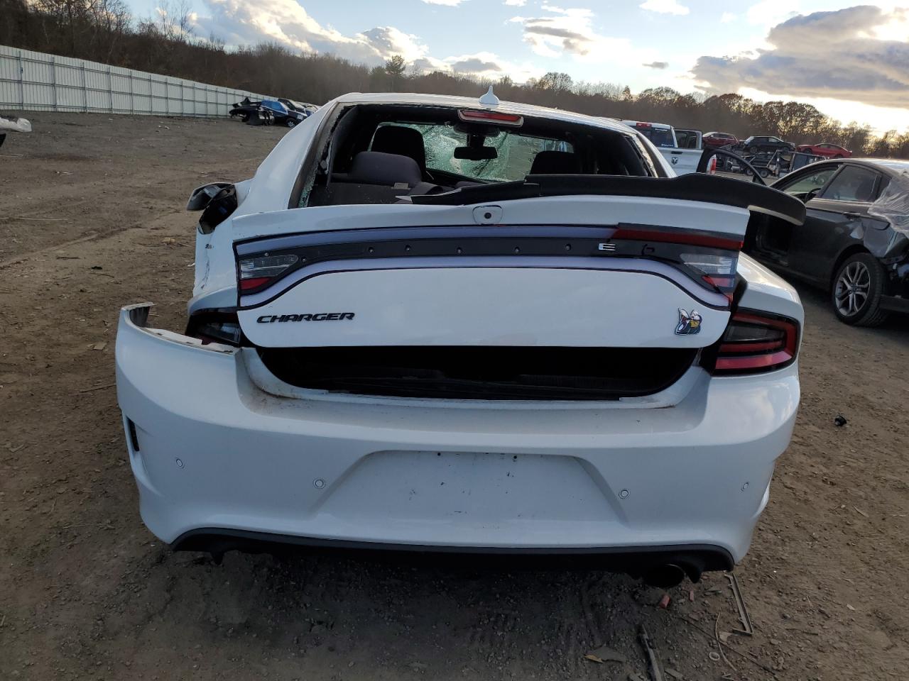 2020 Dodge Charger Scat Pack VIN: 2C3CDXGJ8LH107312 Lot: 91971925