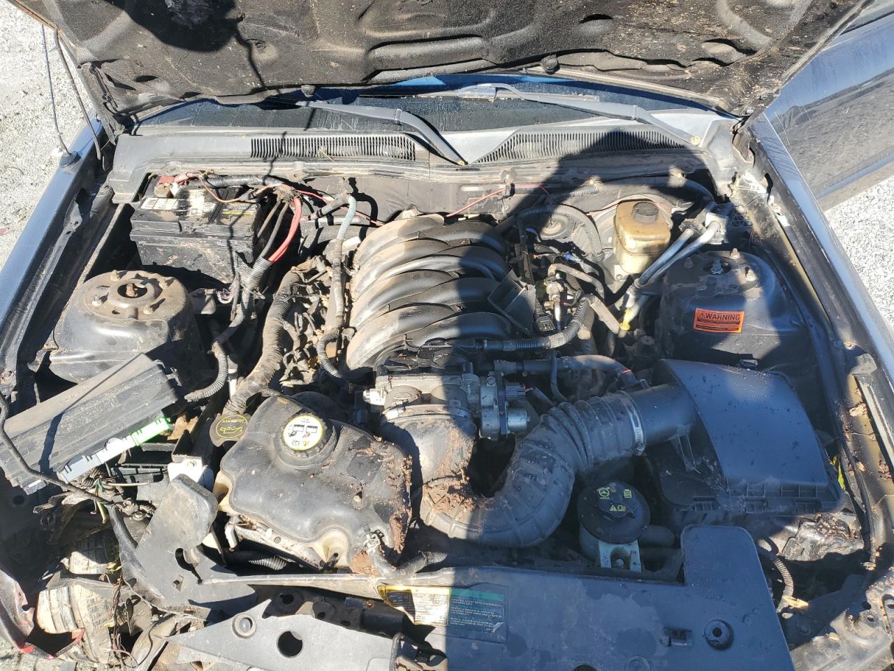 2007 Ford Mustang Gt VIN: 1ZVHT82H775340087 Lot: 90939955