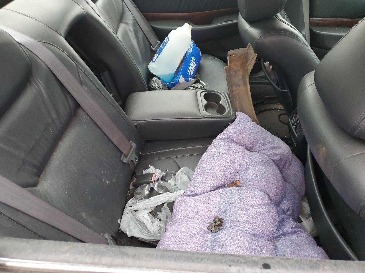 Фото: 19UUA56613A043155