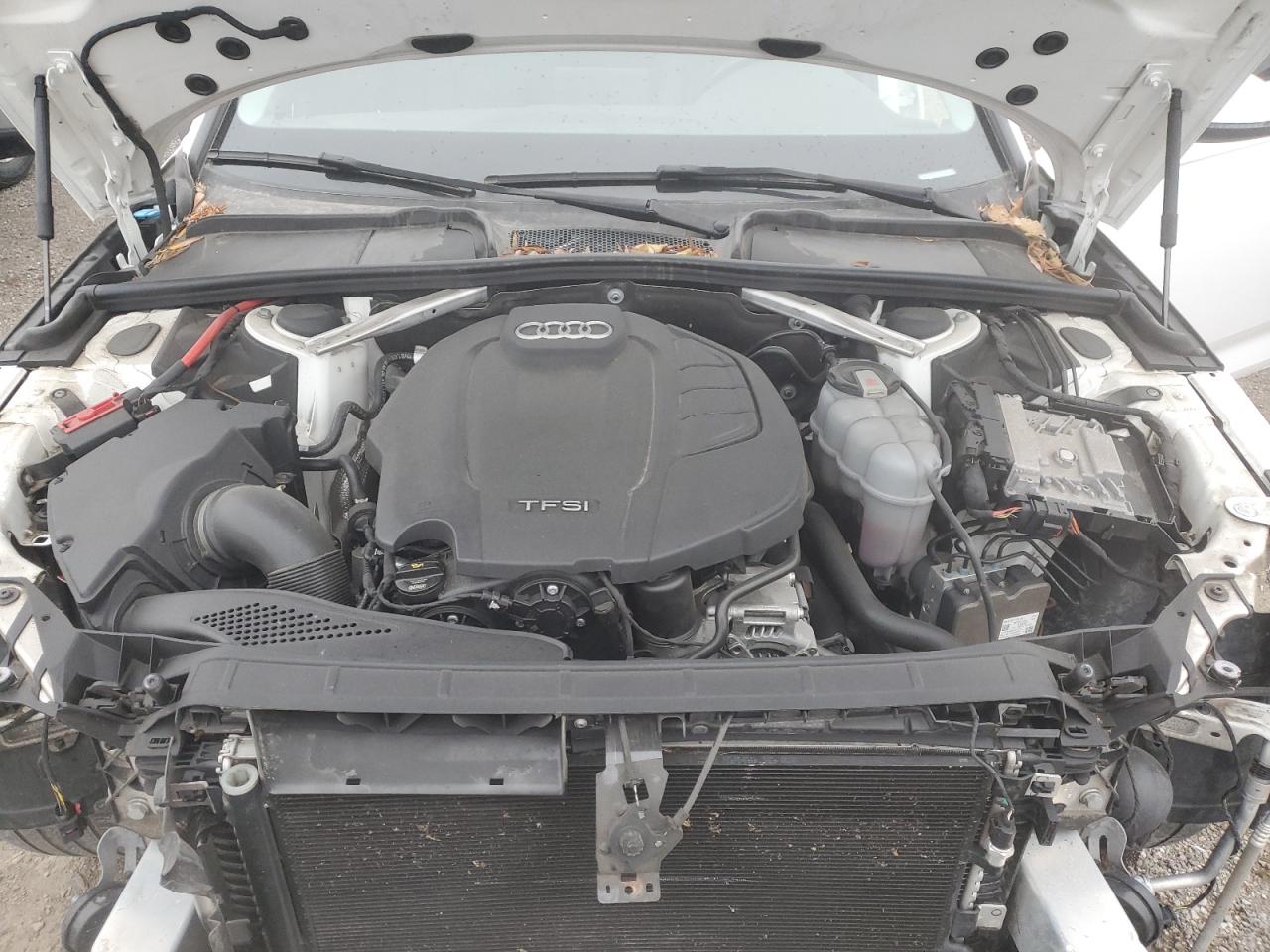 2019 Audi A4 Komfort VIN: WAUANAF42KN009498 Lot: 90817335