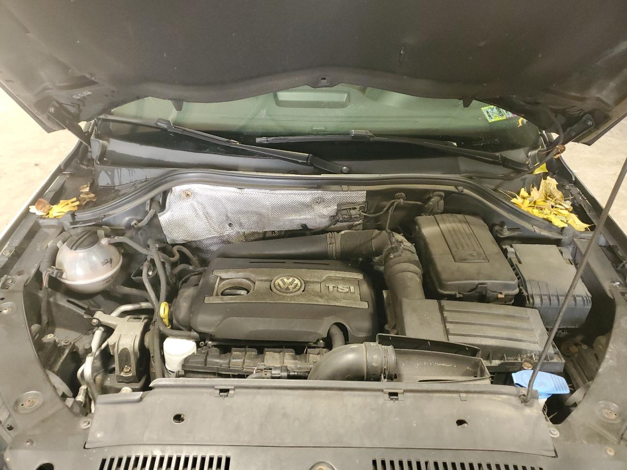 2014 Volkswagen Tiguan S VIN: WVGBV3AX0EW567736 Lot: 93386955