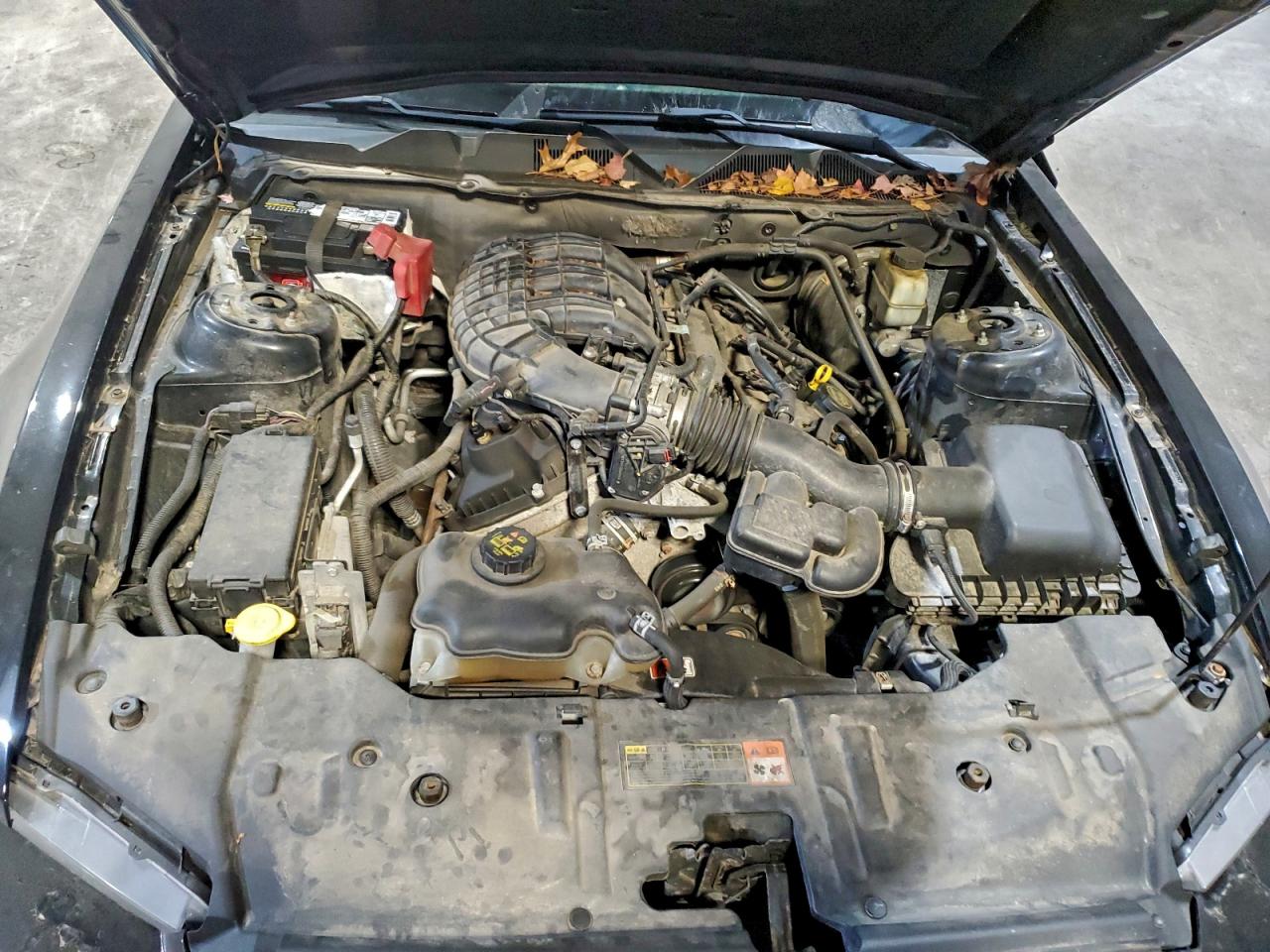 2014 Ford Mustang VIN: 1ZVBP8AM8E5314135 Lot: 94193745