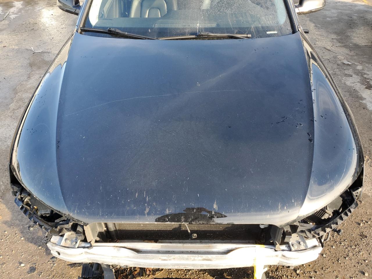 2016 Audi A4 Premium Plus S-Line VIN: WAUFFAFLXGN013221 Lot: 90613855