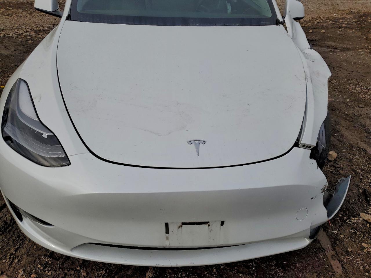 2023 Tesla Model Y VIN: 7SAYGDEE1PF805756 Lot: 94043105