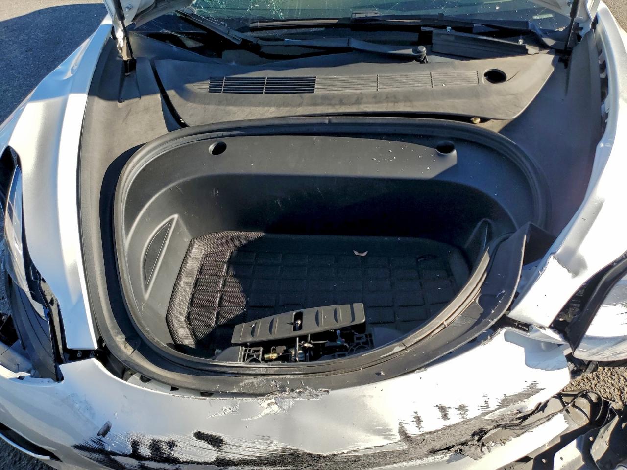 2023 Tesla Model 3 VIN: 5YJ3E1EA4PF429207 Lot: 94365495