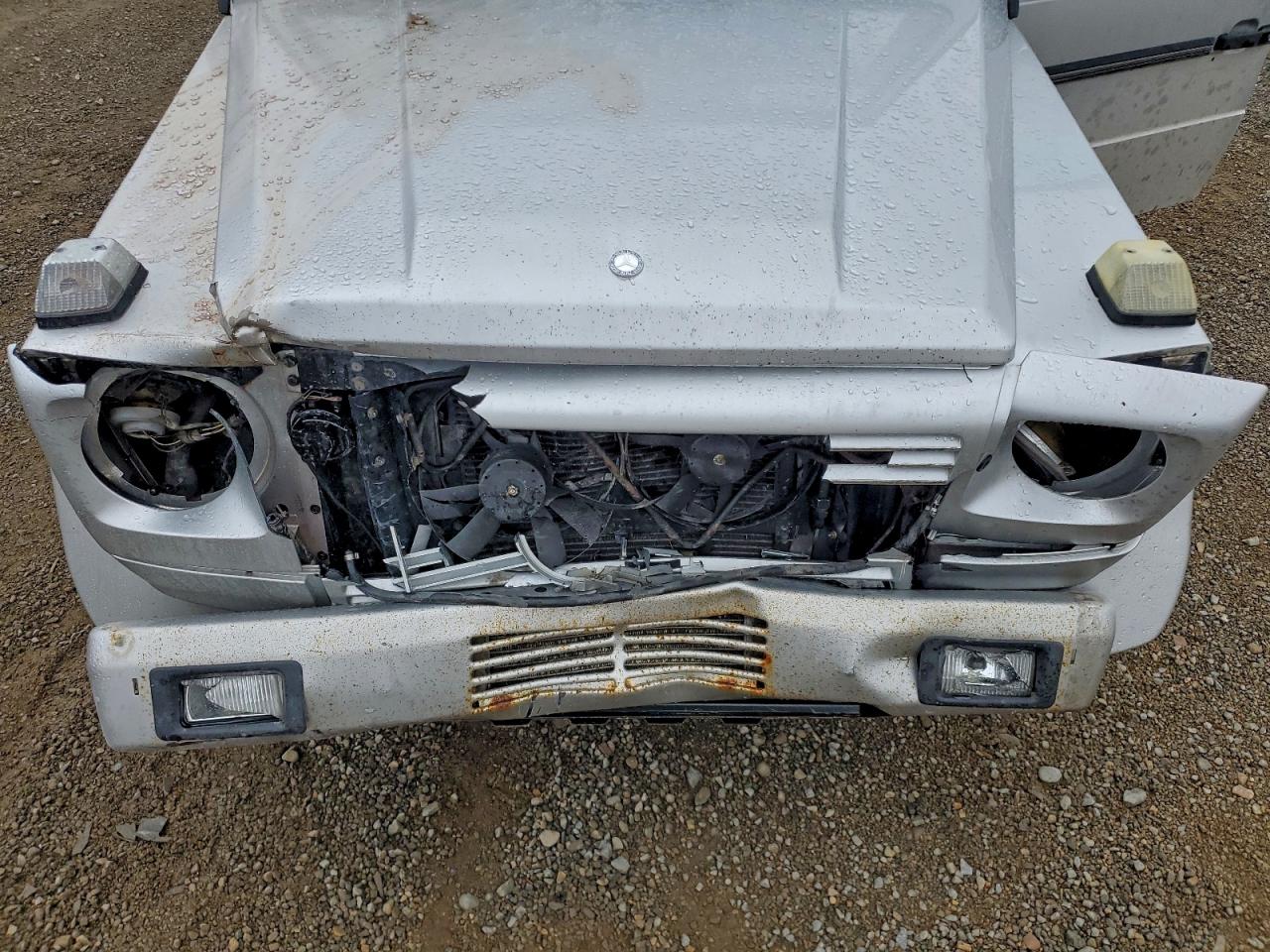 2003 Mercedes-Benz G 500 VIN: WDCYR49E03X142224 Lot: 93874815