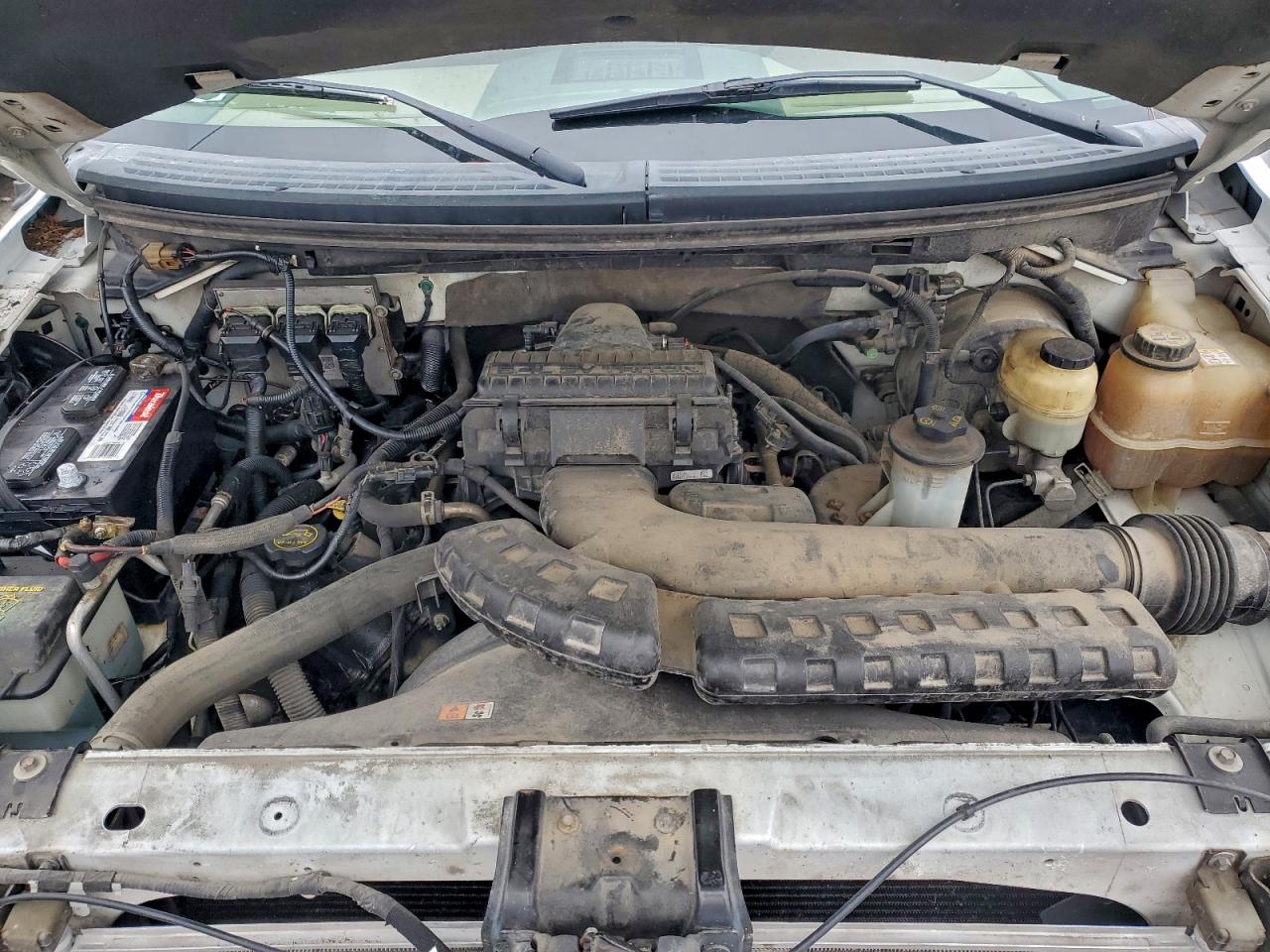 2005 Ford F150 VIN: 1FTPX14505NS16685 Lot: 93743585