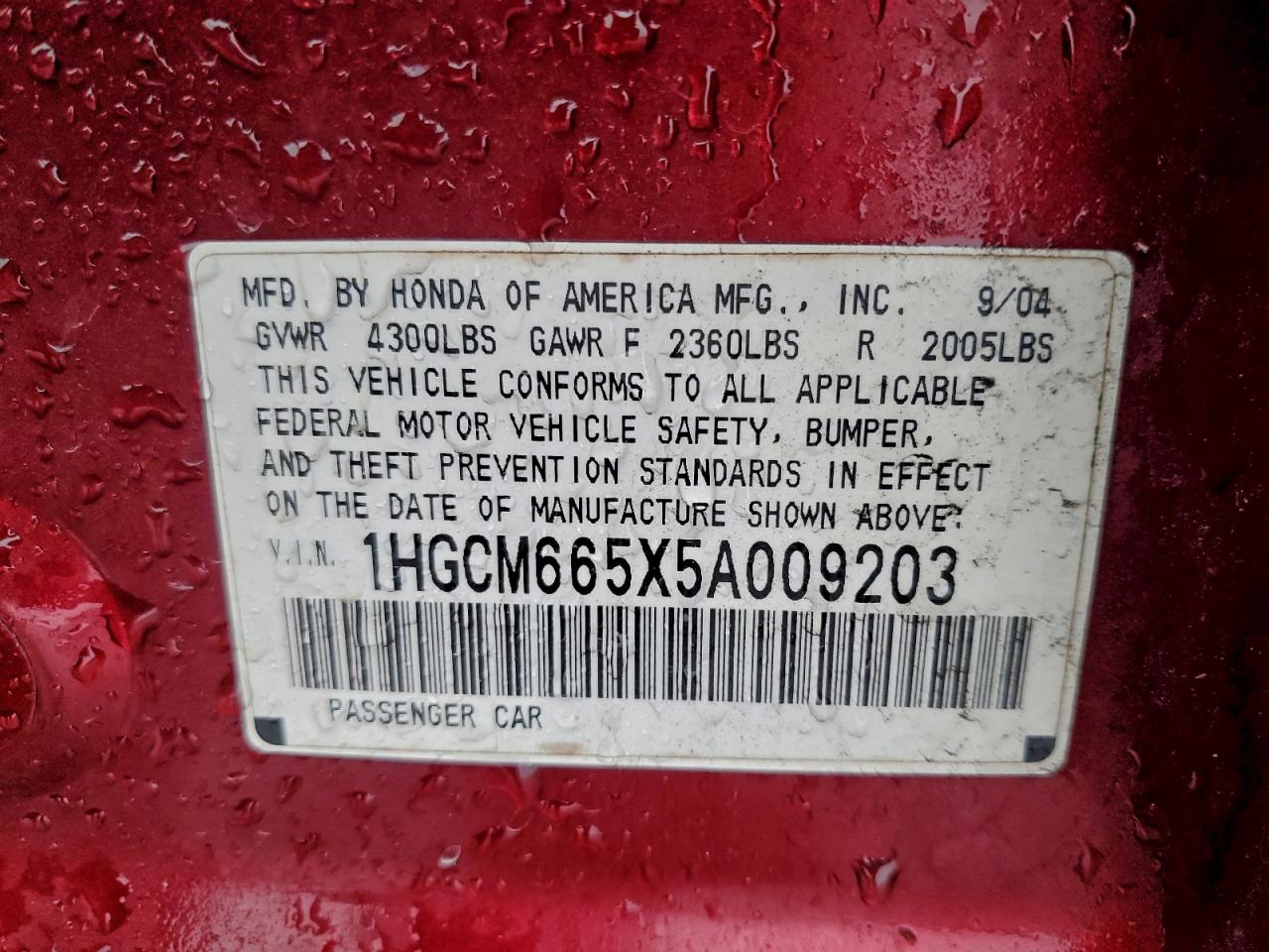2005 Honda Accord Ex VIN: 1HGCM665X5A009203 Lot: 93155715