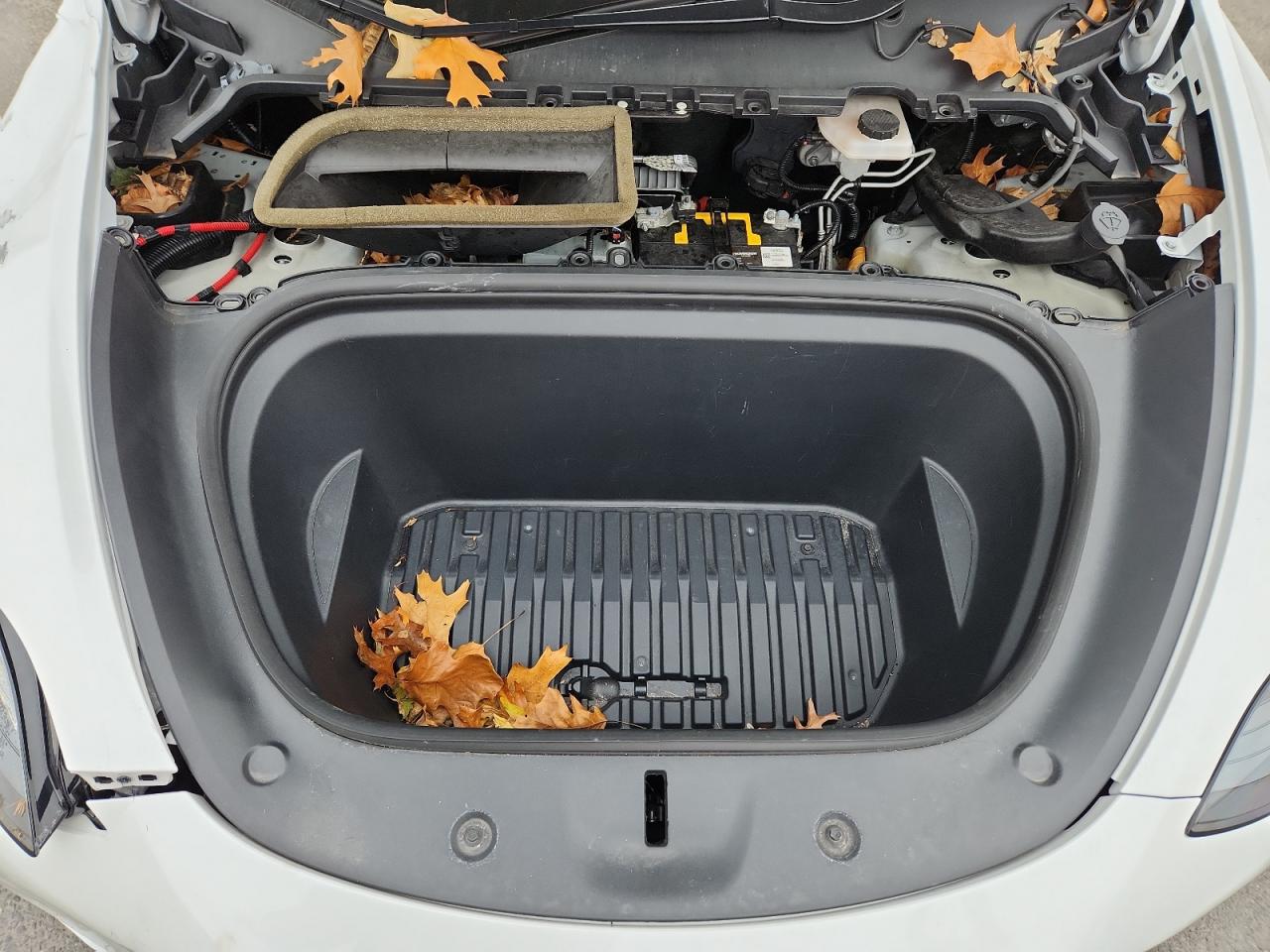 2021 Tesla Model Y VIN: 5YJYGDEE0MF083575 Lot: 91092495