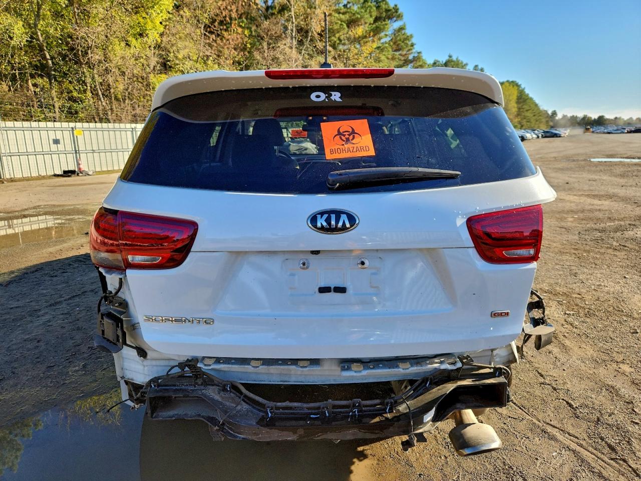 2020 Kia Sorento L VIN: 5XYPGDA39LG691053 Lot: 94642245