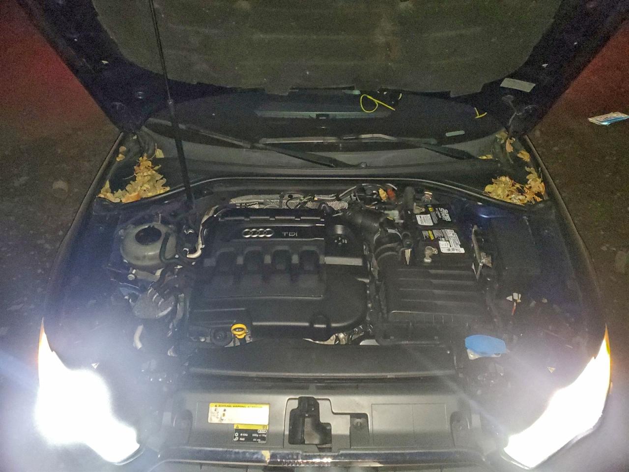 2014 Audi A3 Premium Plus VIN: WAUCJGFFXF1038673 Lot: 94360475