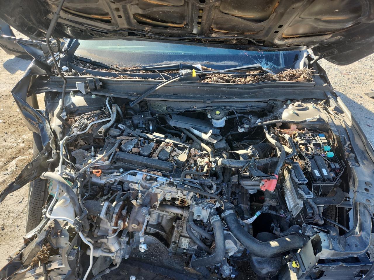 2022 Honda Accord Sport VIN: 1HGCV1F31NA118227 Lot: 85435095