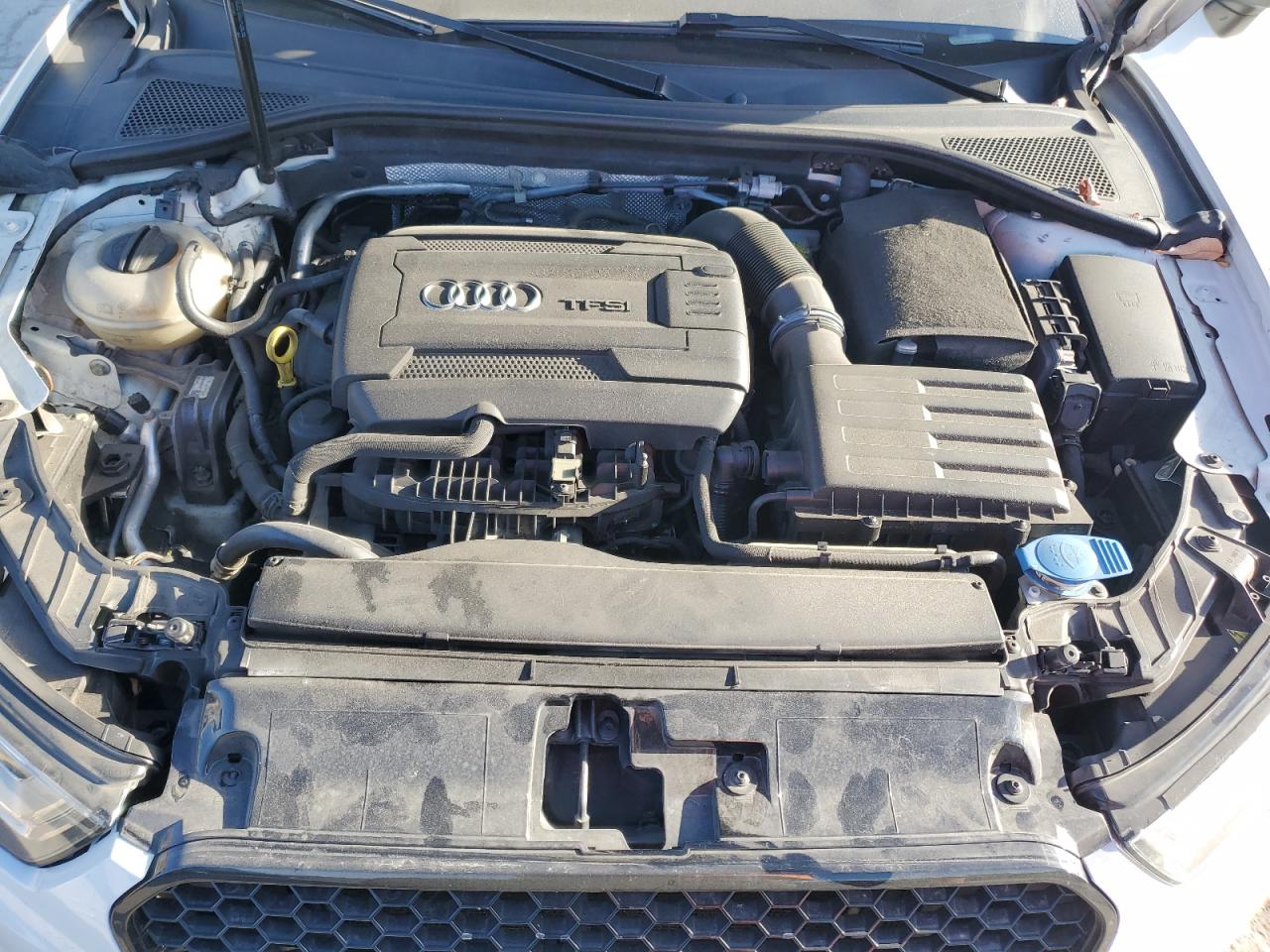 2015 Audi A3 Premium Plus VIN: WAUEFGFF1F1006656 Lot: 91092685