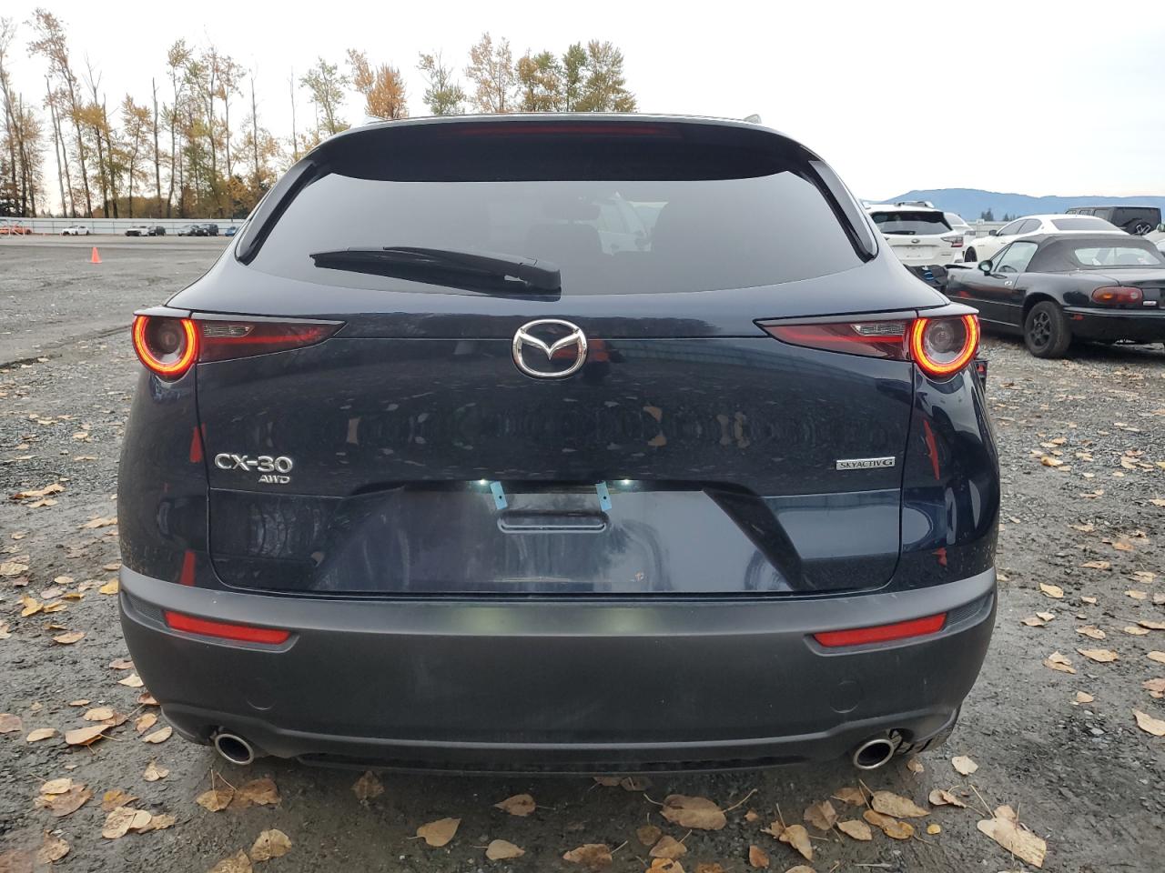 2025 Mazda Cx-30 Preferred VIN: 3MVDMBCM6SM811798 Lot: 91248025